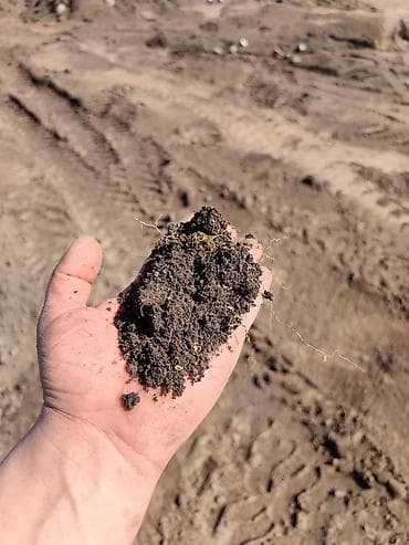 В мешках, Бесплатная доставка, Камаз