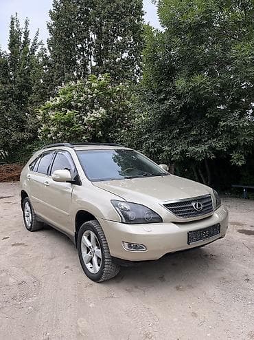 ls 400: Lexus RX: 2004 г., 3.3 л, Автомат, Бензин, Кроссовер — 2