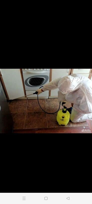 дезинфекция дома от клопов ош: Дезинфекция, дезинсекция, | Блохи, Вирусы, микробы, Клопы, | Дома, Кафе, магазины, Квартиры — 3