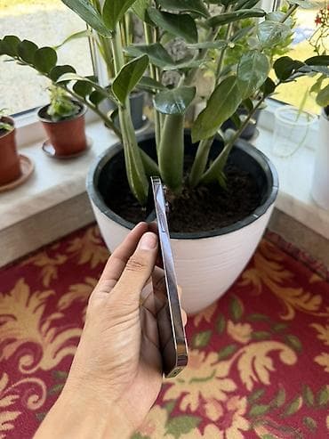 surface 4: IPhone 14 Pro Max, Б/у, 128 ГБ, Deep Purple, Защитное стекло, Чехол, 84 % — 3
