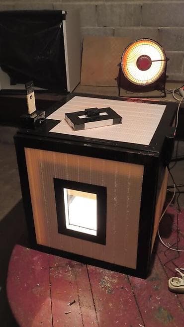 Продаю | Цыплята, Куры, Петух