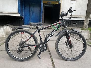 diska 13: Горный велосипед, Geleda, Сталь — 3