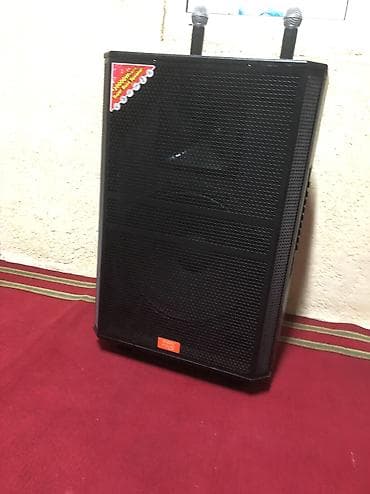 обмен на электро: Мощная усилинная калонка в аренду Bass, Ekho и тд, под себя настрой — 2