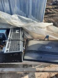 животные в добрые руки: Продам на завчясти — 3