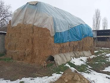 Тюки соломы/сена в пачках. - Прессованные прямоугольные тюки
