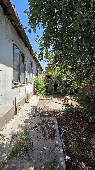 Земельные участки: 3 соток, Красная книга, Тех паспорт, Договор купли-продажи — 3