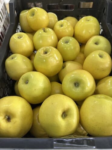 яблоко сочные: Яблоки Оптом — 1