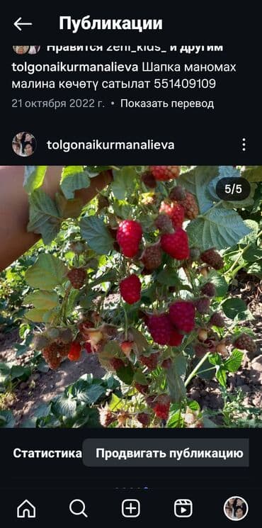 оборудование для пекарня: Малина Чекене — 8