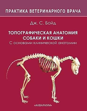 животные кошки: В продаже книга для ветврачей. новая — 1