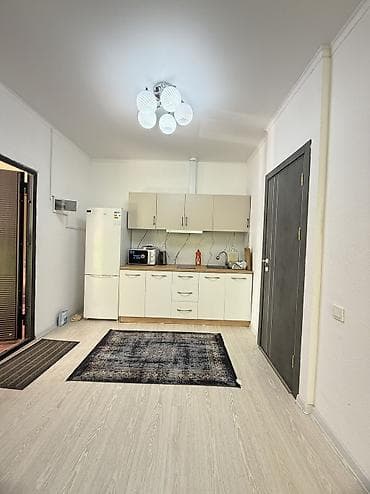 дом отдыха иссык куль: 3 комнаты, 50 м², Элитка, 3 этаж, Евроремонт — 4