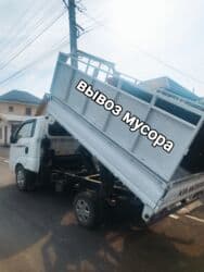 Шиншиллы: Вывоз мусора вывоз мусора вывоз мусора вывоз мусора вывоз мусора вывоз — 1