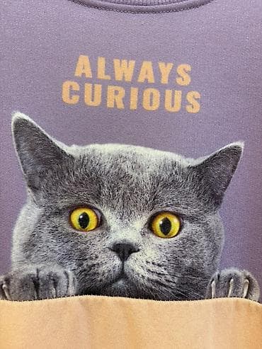 женская кофта летучая мышь: Свитшот, С надписью, Все размеры — 4