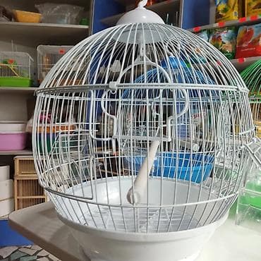 Үй жаныбарлары: Клетки для птиц — 4