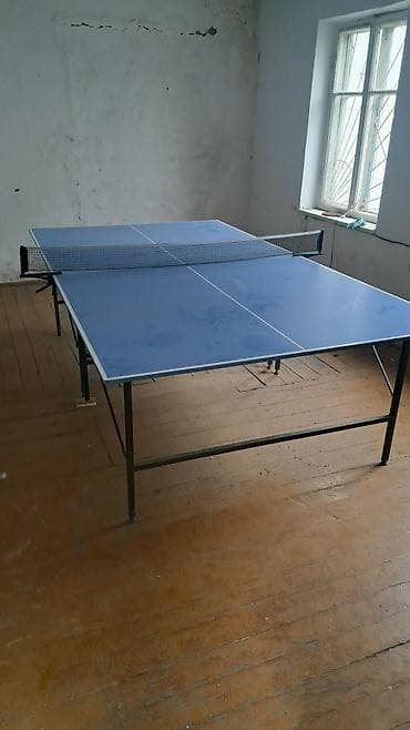 Спорт и отдых: Настольный теннисный стол с сеткой - Размер: стандартный для — 1