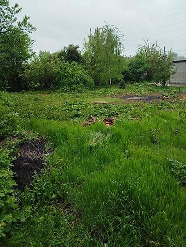 с гаража: 4 соток, Для строительства, Красная книга — 2