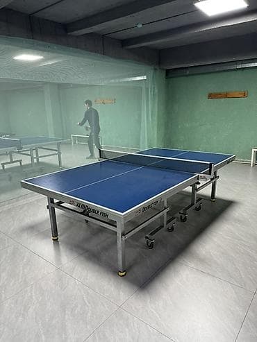 тенисные столы: Профессиональный стол для настольного тенниса Double Fish - Игровая — 2