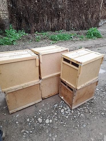 вакуумный пакет для еды: Пакет — 4