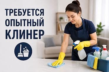 surface restorer: Уборка помещений, | Генеральная уборка, | Квартиры — 1