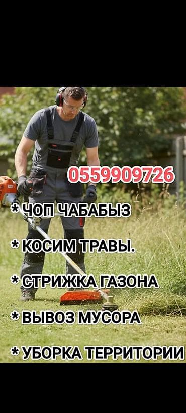уборка: Уборка территории, Стрижка газона — 1