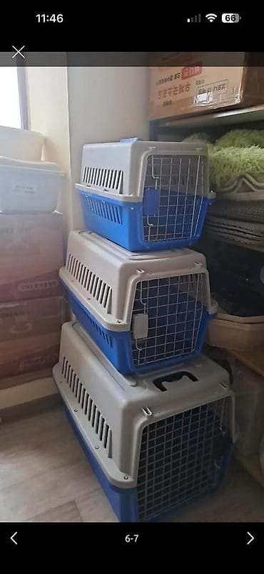 отдам в добрые руки кошку: Переноски для животных (кошек, мелких собак, кроликов) - Материал — 1