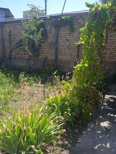 куплю дом центр бишкек: Үй, 174 кв. м, 7 бөлмө, Менчик ээси, Косметикалык оңдоо — 5