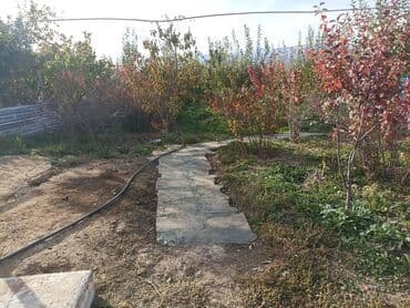 продаю дом рабочий гарадок: Үй, 60 кв. м, 3 бөлмө, Менчик ээси, Евро оңдоо — 7