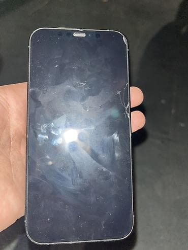 IPhone 12 Pro Max, Pacific Blue