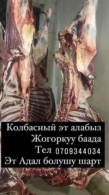болушу: Эт бөлүгү — 1