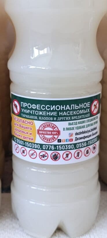уничтожение клоп блох: Дезинфекция, дезинсекция, | Тараканы, Муравьи, Мыши и крысы, | Подвал, погреб, Офисы, Транспорт — 12