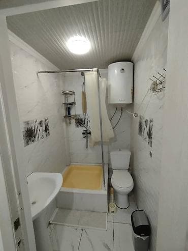 Недвижимость: 1 комната, 46 м², Индивидуалка, 4 этаж, Косметический ремонт — 4