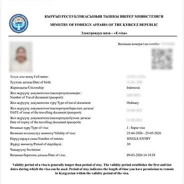 билет в турцию: Визы в Кыргызстан, США, Японию и Шенген. Помогаю с оформлением виз в — 10