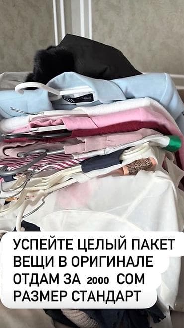 Прокат одежды: Целый пакет женской одежды «в оригинале». Размер — стандарт. В — 1