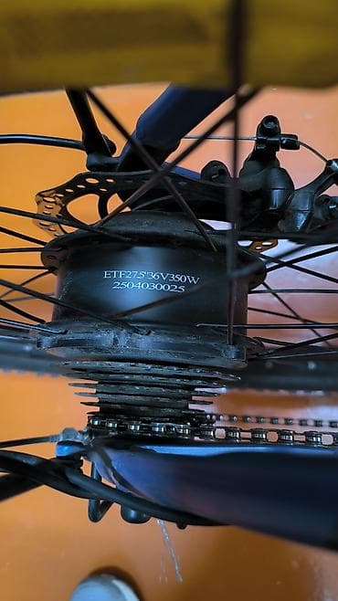 электровелик сколько стоит: Электровелосипед — 3