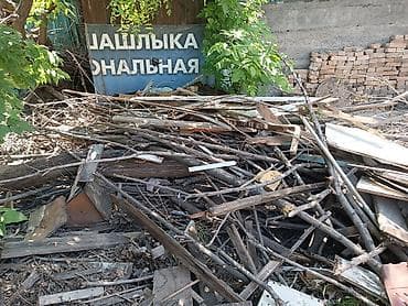 Дрова Самовывоз