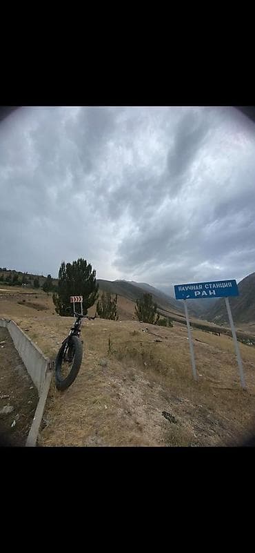 CD, DVD диски: Горный велосипед, Сталь — 3