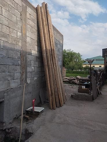 сосна саженцы: Брус, Сосна — 2