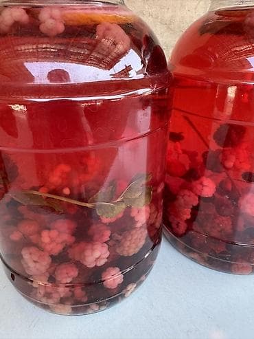 Продукты питания: 🍃Домашний “Мохито” с ягодами🍓 ✨ Натуральный состав: • Ежевика • — 2