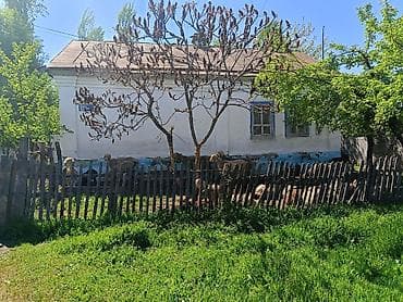 гараж бу: Дом с участком продаю красная речка,ул певомайская — 1