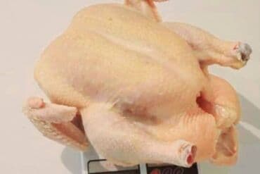 лоток для животных: Продаю | Индюк (самец) | На забой | Племенные — 4