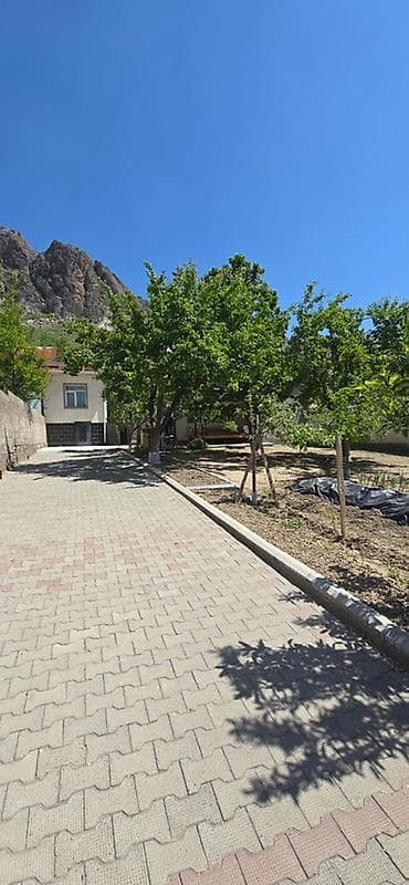 село романовка: Продаётся просторная усадьба с двумя домами и большим участком 🌿 — 4
