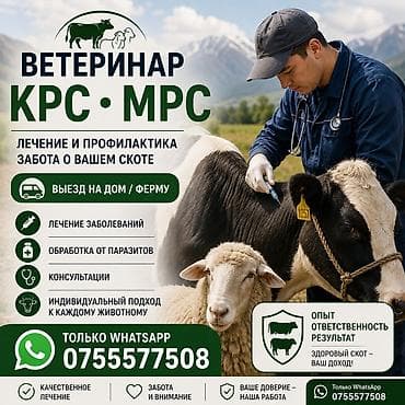Услуги ветеринара: Не можешь сделать укол ? пиши на WhatsApp Ветеринарные услуги для КРС — 1