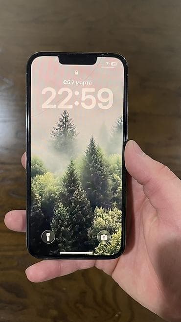 Apple iPhone: IPhone 13 Pro, 256 ГБ, Sierra Blue, Защитное стекло, Чехол, 77 % — 6