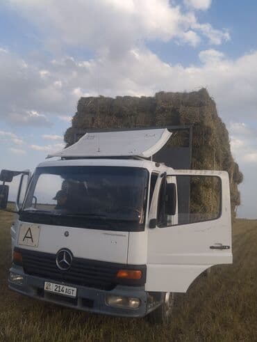 дом на колесах авто: Мерседес Бенс Атего 2001 жылы борттун узуну 6.турасы 2.55 17.5 — 2