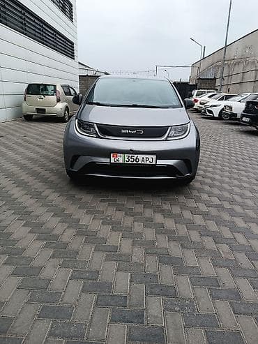 lt 46: BYD Dolphin: 2023 г., Электромобиль, Хэтчбэк — 2