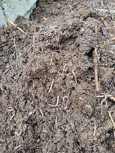 мешок для овощей: Солжылан биогумус чыгаруу учун, 1кг 100 сом кыгы менен болот — 5