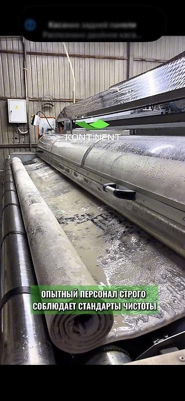 дезинфекция клопов: Стирка ковров, | Палас, Ковер, Бесплатная доставка — 9