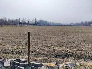 Жер тилкелери: 200 соток, Бизнес үчүн, Башкы ишеним кат — 10