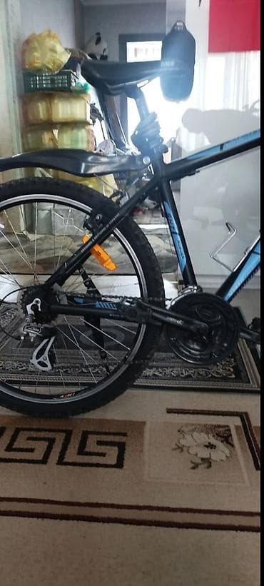 stern: Горный велосипед, Stern, Рама M (156 - 178 см), Сталь — 5