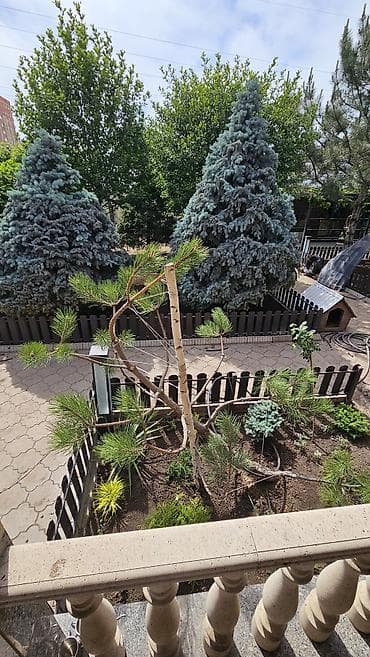 яма копать: В мешках, Платная доставка, Камаз — 6