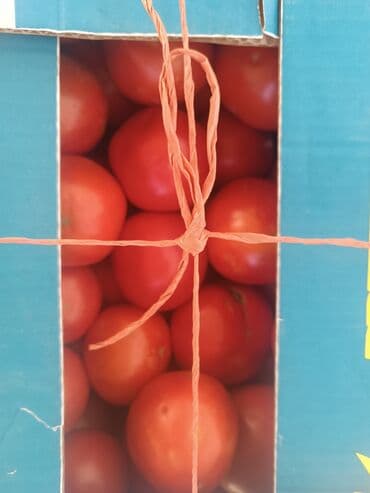 помидоры продаю: Помидоры Красные, Оптом — 1